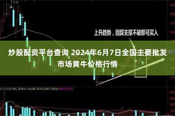 炒股配资平台查询 2024年6月7日全国主要批发市场黄牛价格行情