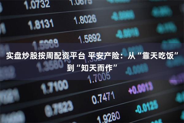 实盘炒股按周配资平台 平安产险：从“靠天吃饭”到“知天而作”