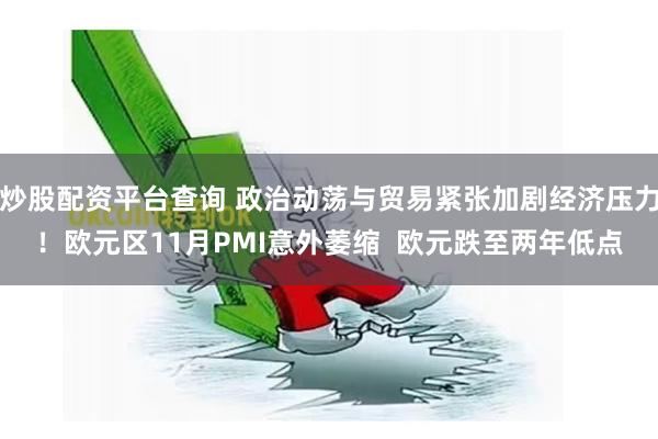炒股配资平台查询 政治动荡与贸易紧张加剧经济压力！欧元区11月PMI意外萎缩  欧元跌至两年低点