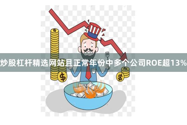 炒股杠杆精选网站且正常年份中多个公司ROE超13%